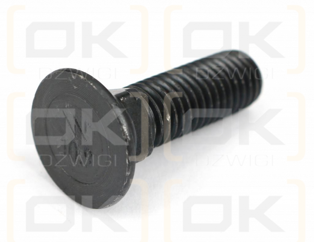 Śruba płużna podsadzana D 608 M12x30 mm kl.10.9 Waryński ( sprzedawane po 10kg )