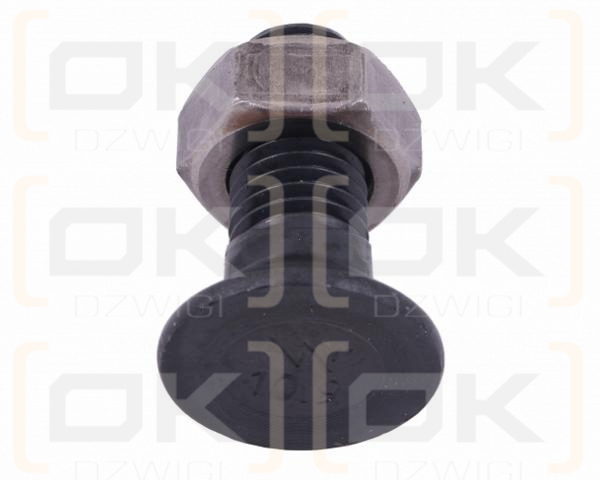 Śruba kpl. płużna podsadzana D 608 M14x30 mm kl.10.9 Waryński ( sprzedawane po 10 )