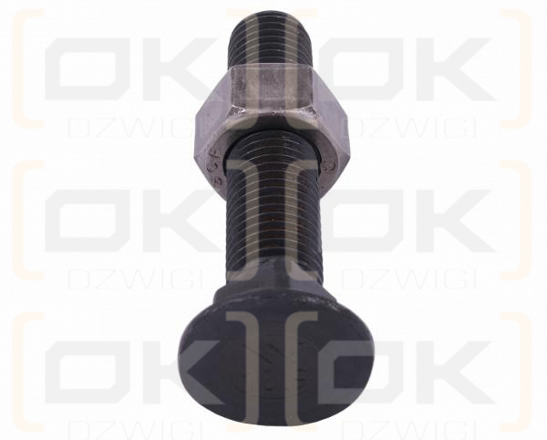 Śruba kpl. płużna podsadzana D 608 M16x100 mm kl.10.9 Waryński ( sprzedawane po 10 )