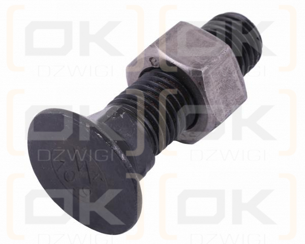 Śruba kpl. płużna podsadzana D 608 M16x70 mm kl.10.9 Waryński ( sprzedawane po 10 )