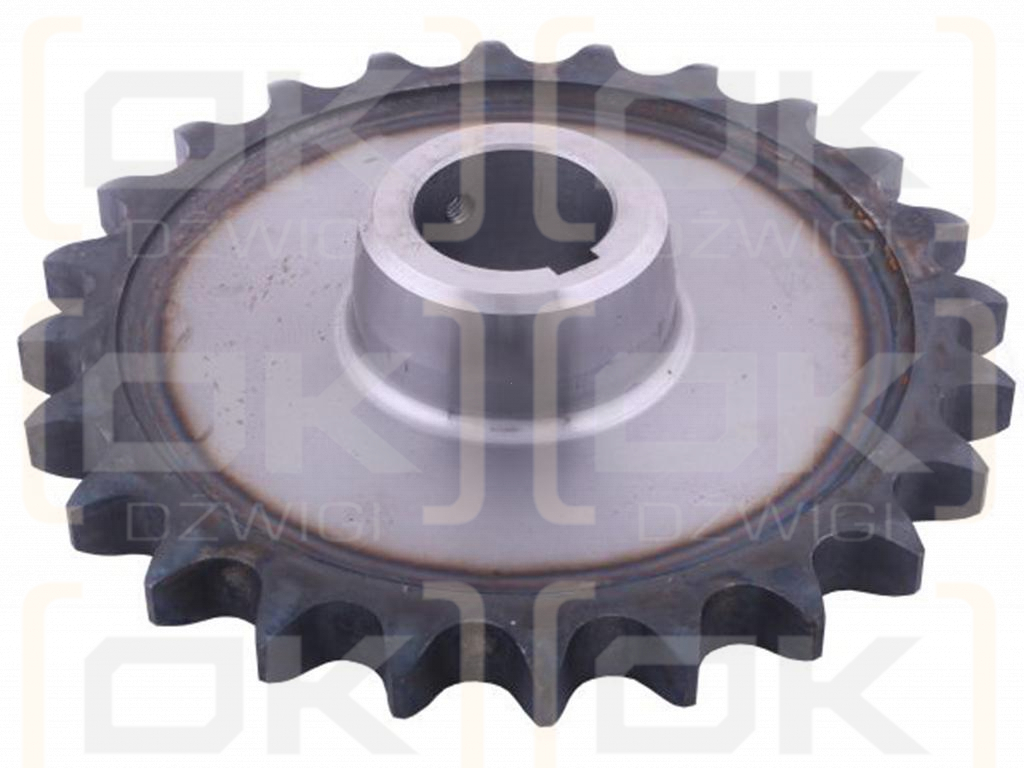 Hardened steel chain wheel Z-24 1" fi-40, Spreader, Waryński