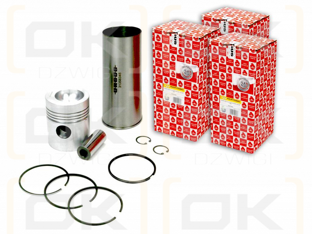 Motorreparatursatz 46910000, 0437890 MF3 (Satz) ORIGINAL URSUS