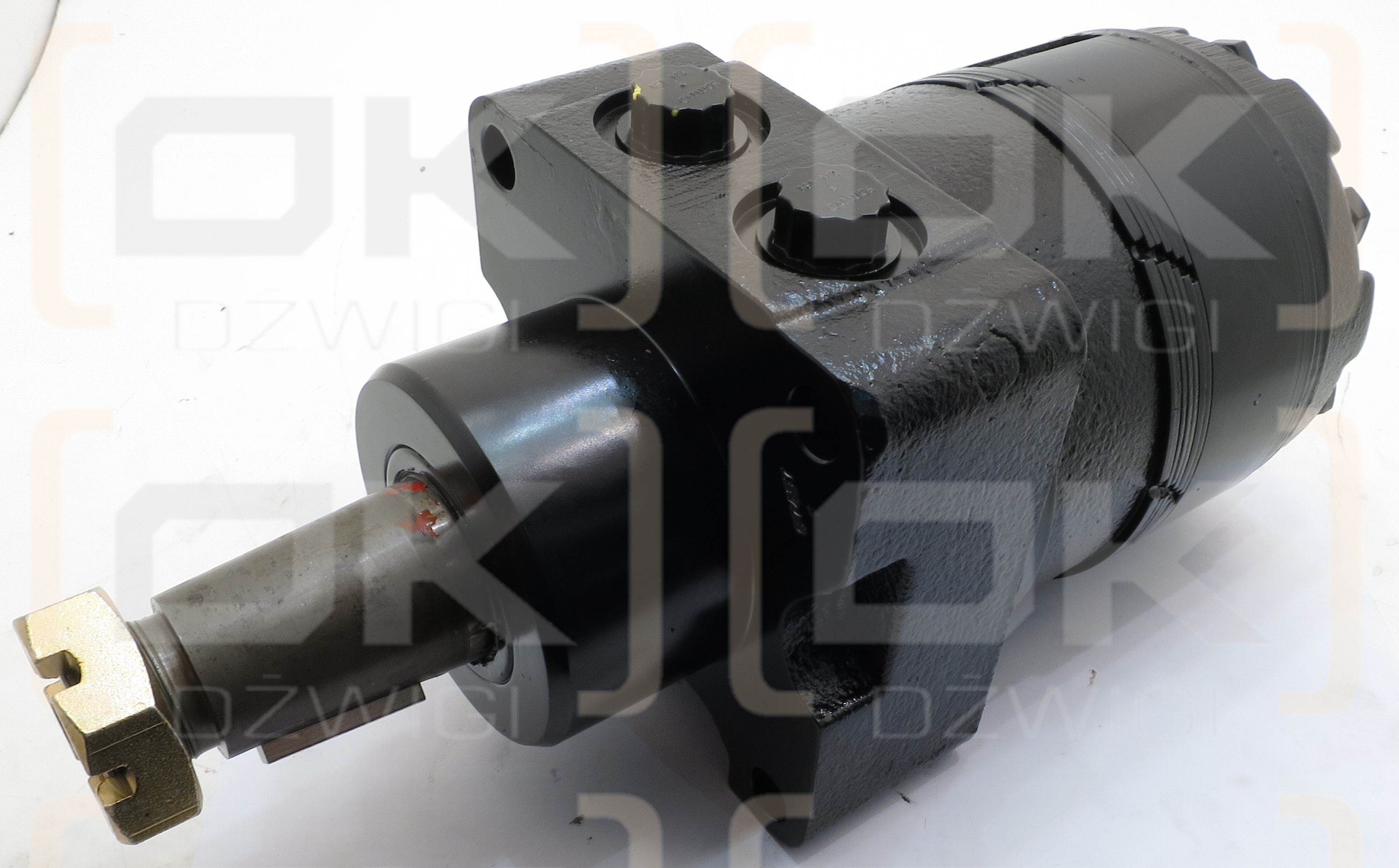 White Drive Products 530470T3831AAAAA Hydraulic Motor