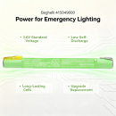 Batería de repuesto para Beghelli 415049000 / 3AA1700AC 1650 mAh Ni-MH 3,6 V (Cameron Sino)