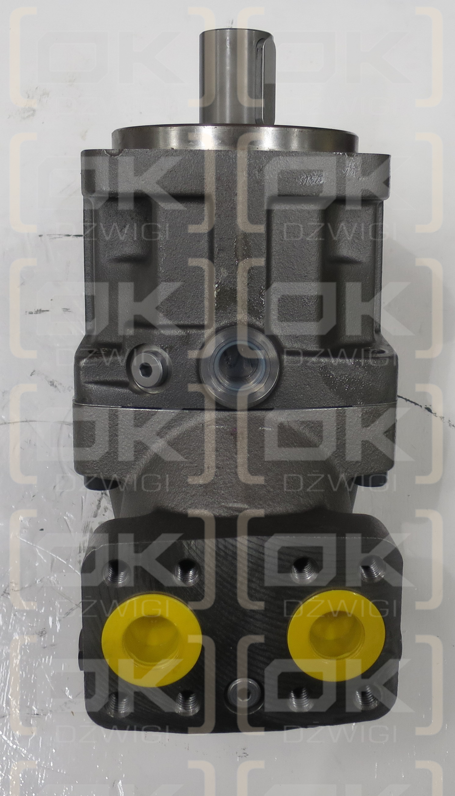 F12-080-MS-SV-T-000-L130-P0