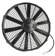 fans