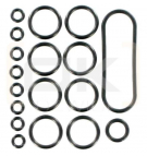PVAS seal kit