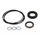 Set of seals for Danfossa OMM70 151G0297 engine