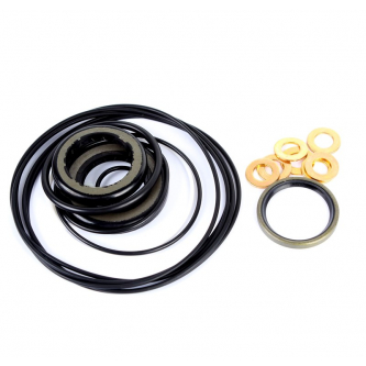 Seal kit for the OMR F engine