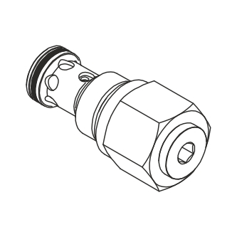 PT5 BSP check valve