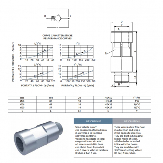 Linear check valve HBS 1" 350bar