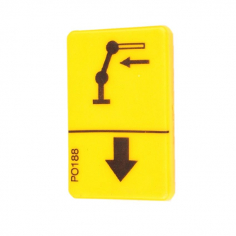 THE FASSI PICTOGRAM OF THE ARM EXTENSION FUNCTION