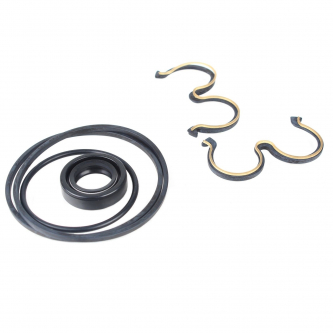 Sealing kit for the CAPRONI pump
