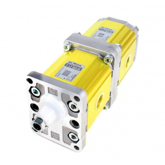 Double gear pump