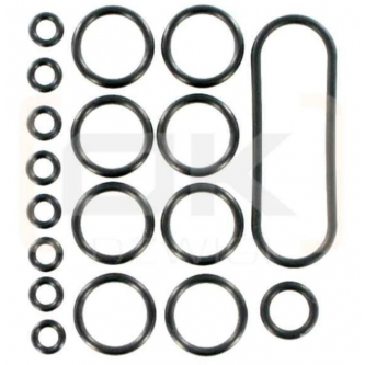 PVAS seal kit